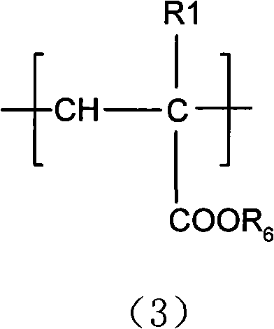 Amphoteric hair caring-fixing composite