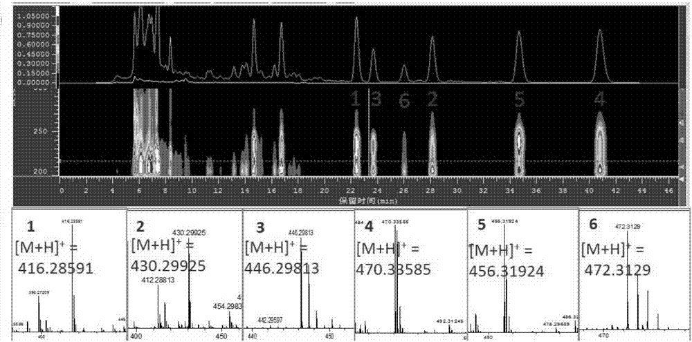 A streptomyces strain, and anti-kidney-cancer applications of piericidin metabolites thereof