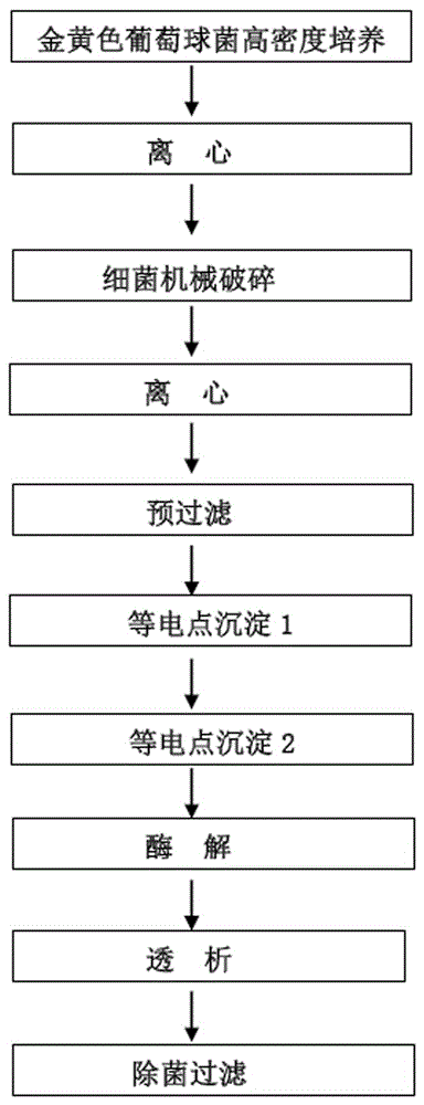 Method for preparing proteus mirabilis-staphylococcus aureus-pseudomonas aeruginosa adsorption combined vaccine