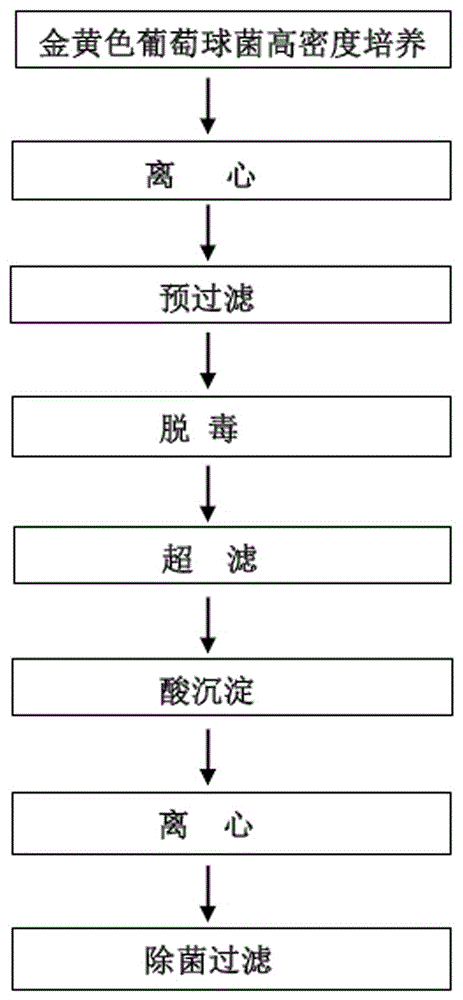 Method for preparing proteus mirabilis-staphylococcus aureus-pseudomonas aeruginosa adsorption combined vaccine