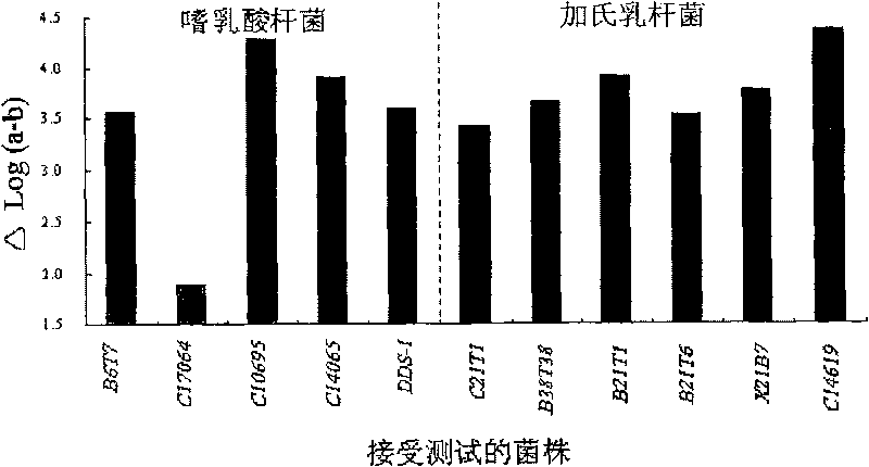 Acid and choline-resistant separated strain of lactobacillus with ability of reducing and assimilating cholesterol