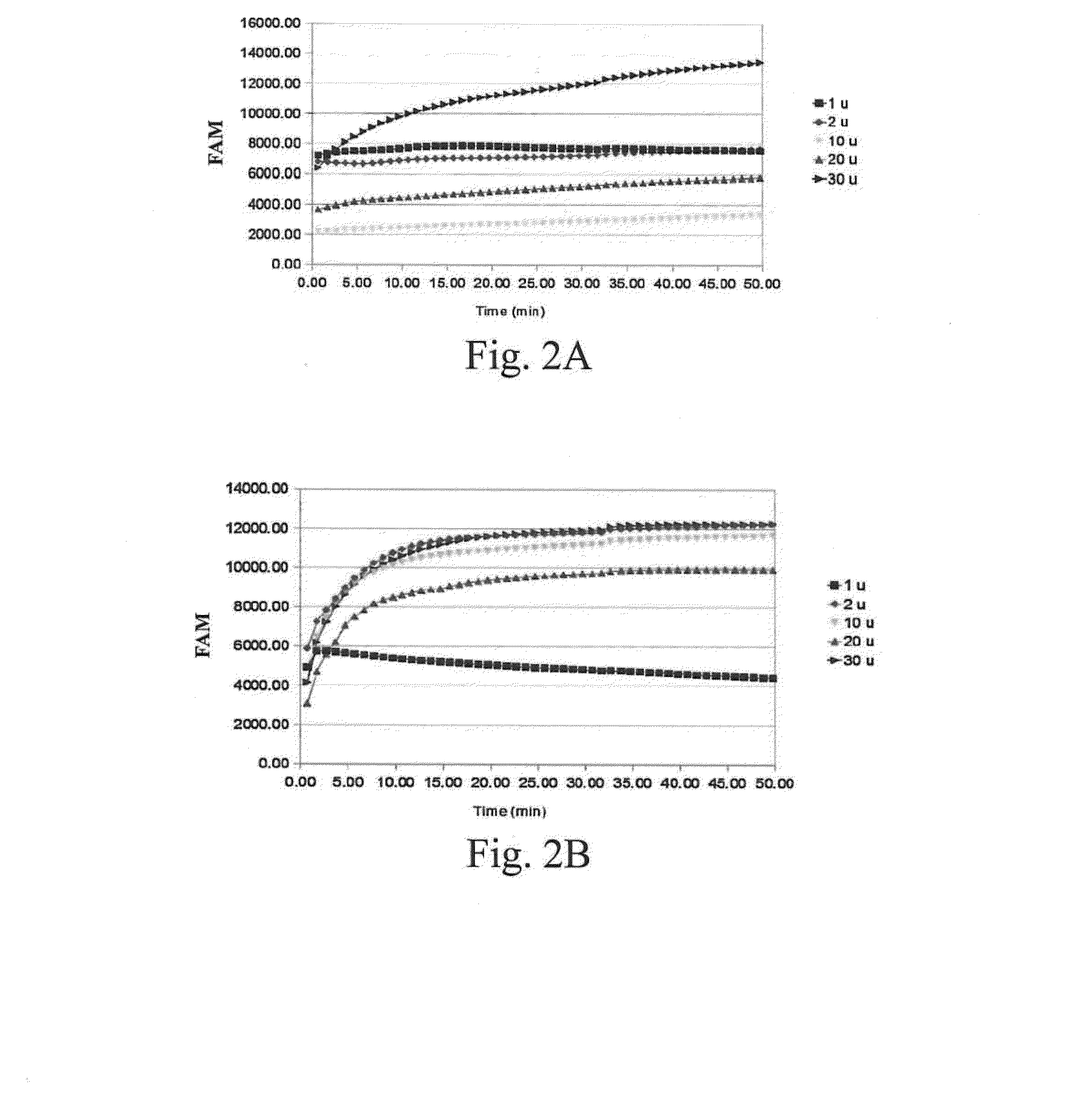 Method for determining activity of nucleic-acid-repair enzyme