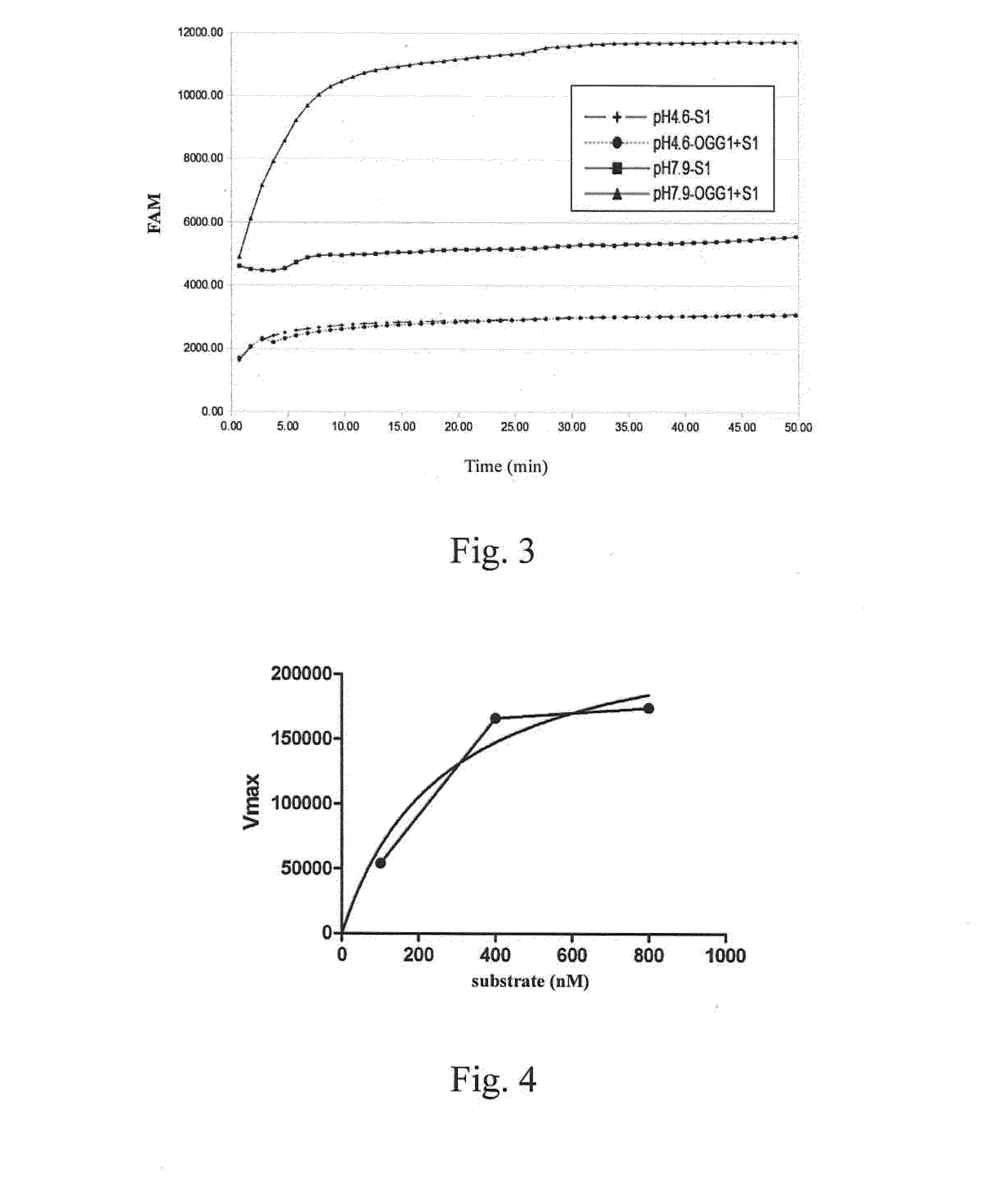 Method for determining activity of nucleic-acid-repair enzyme