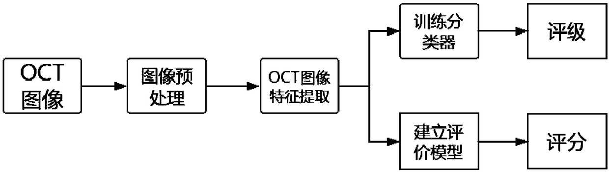 OCT image quality evaluation method based on improved Resnet and SVR hybrid model