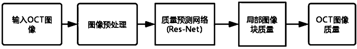 OCT image quality evaluation method based on improved Resnet and SVR hybrid model