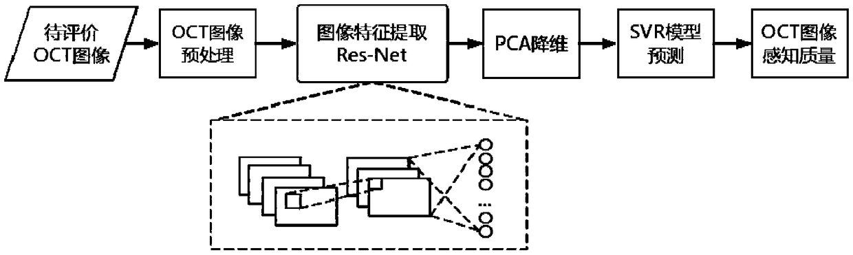 OCT image quality evaluation method based on improved Resnet and SVR hybrid model