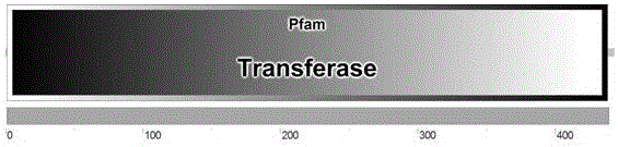 Gene for improving plant disease resistance and application thereof