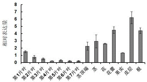 Gene for improving plant disease resistance and application thereof