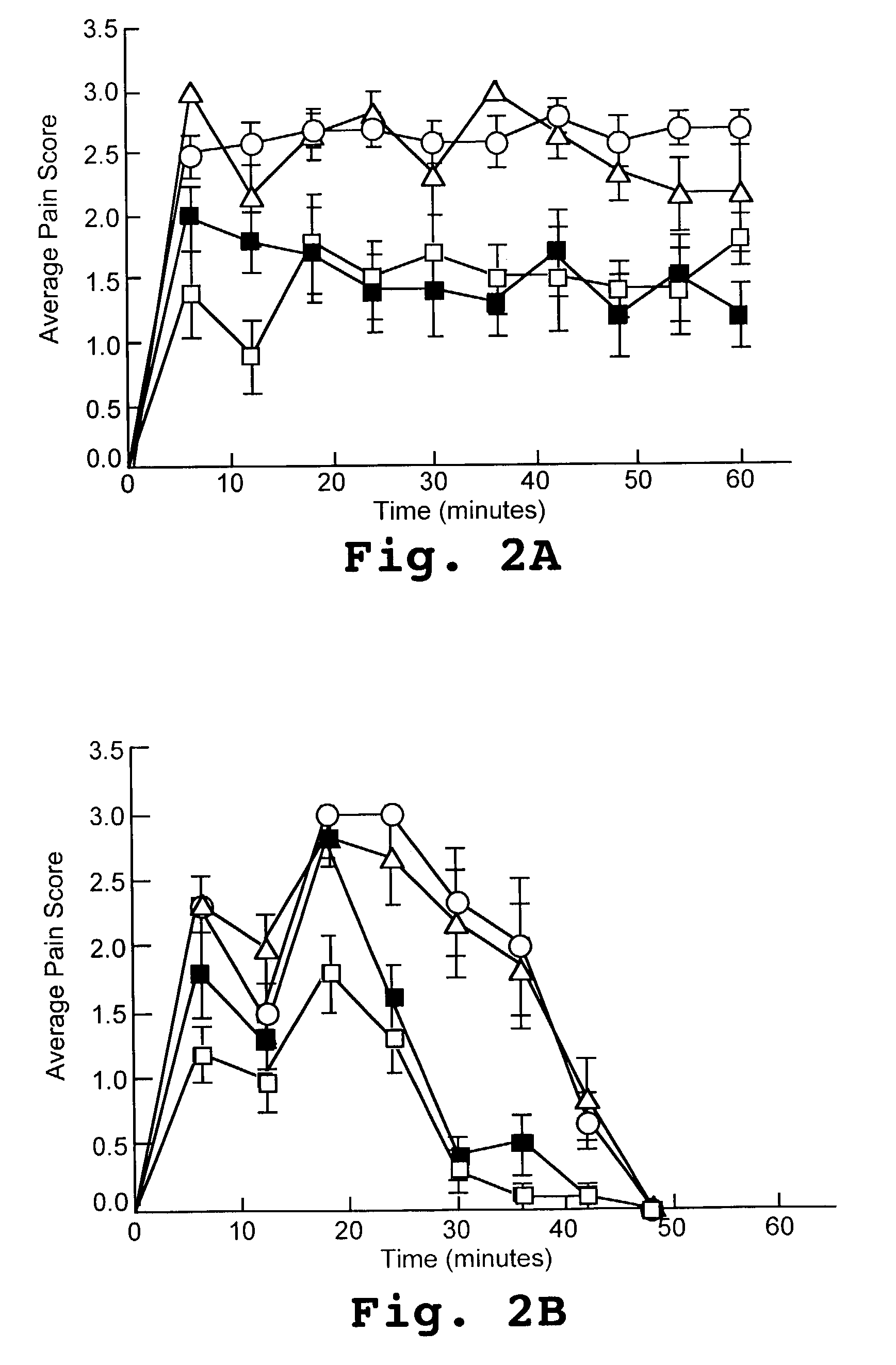 Peptide inhibitors of protein kinase C gamma for pain management