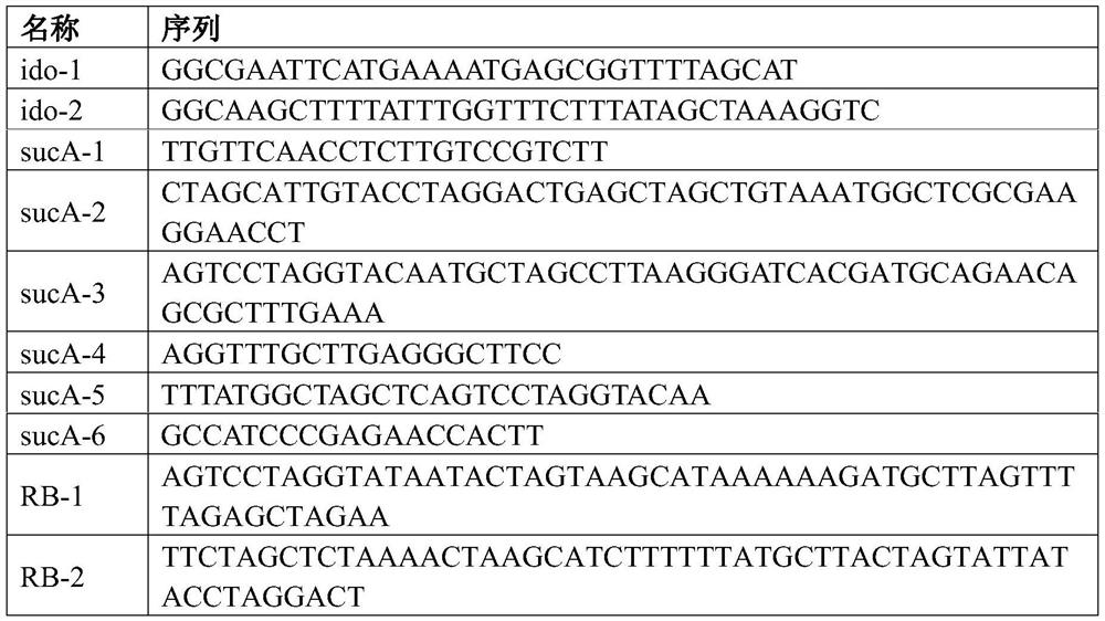 Genetically engineered bacterium for producing 4-hydroxyisoleucine and application of genetically engineered bacterium