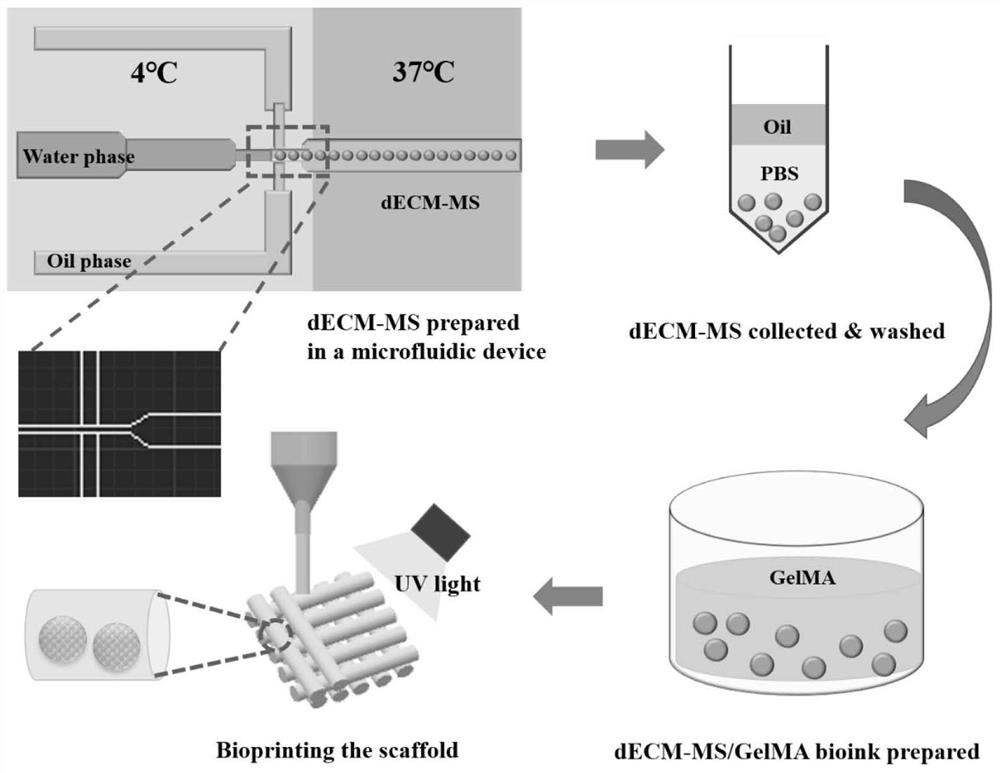 Composite 3D printing ink and application thereof