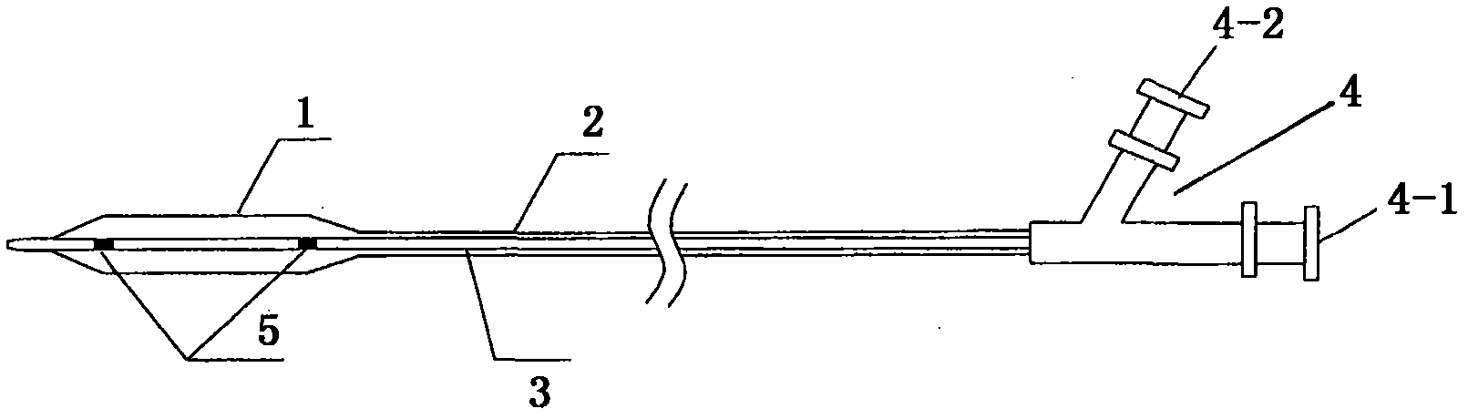 Sacculus dilatation catheter