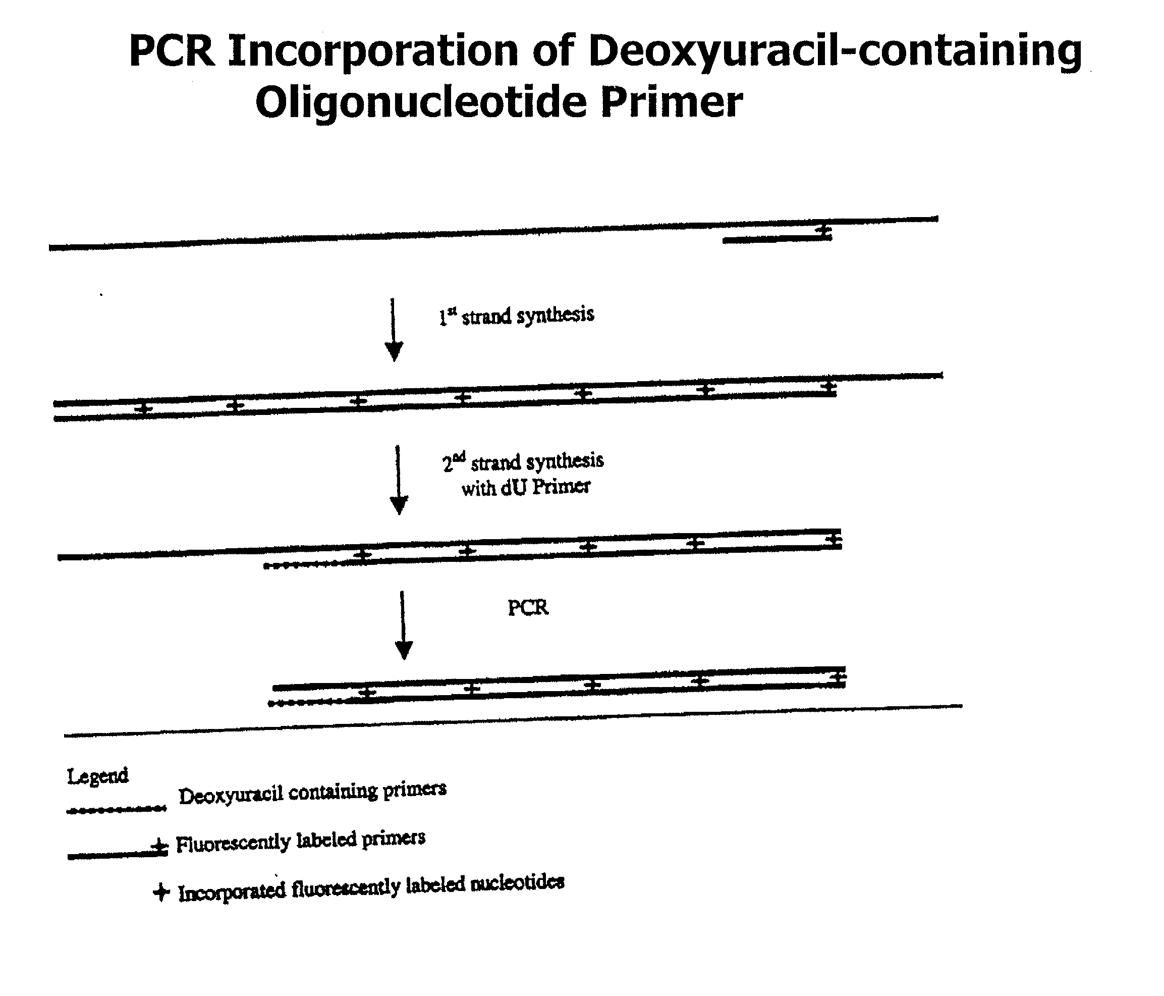 Partially double-stranded nucleic acids, methods of making, and use thereof