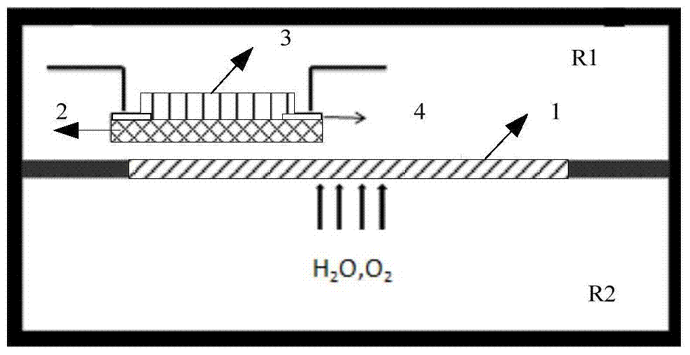 Method for detecting water oxygen transmission rate of backplane and packaging structure