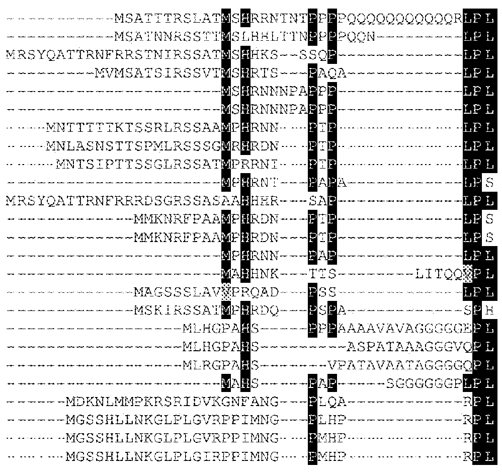 Key gene regulating plant cell wall recalcitrance