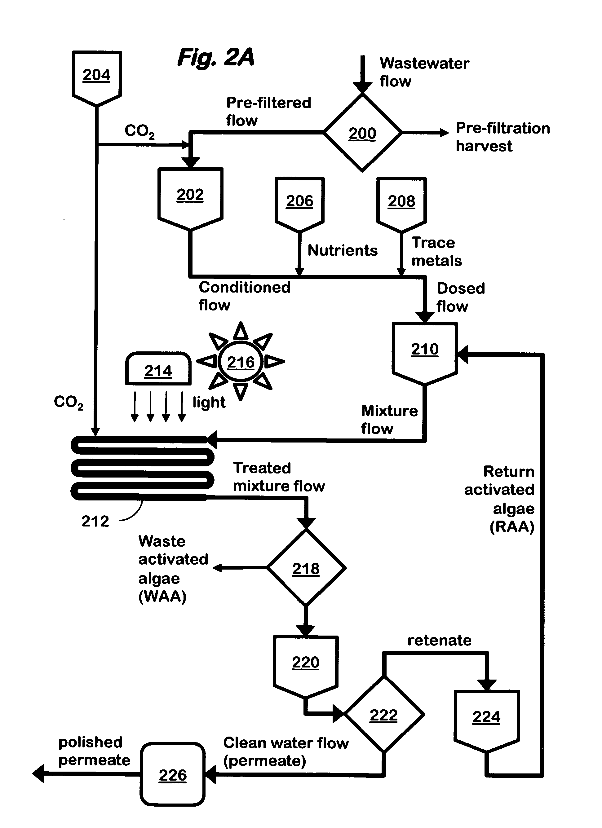 Advanced biologic water treatment using algae