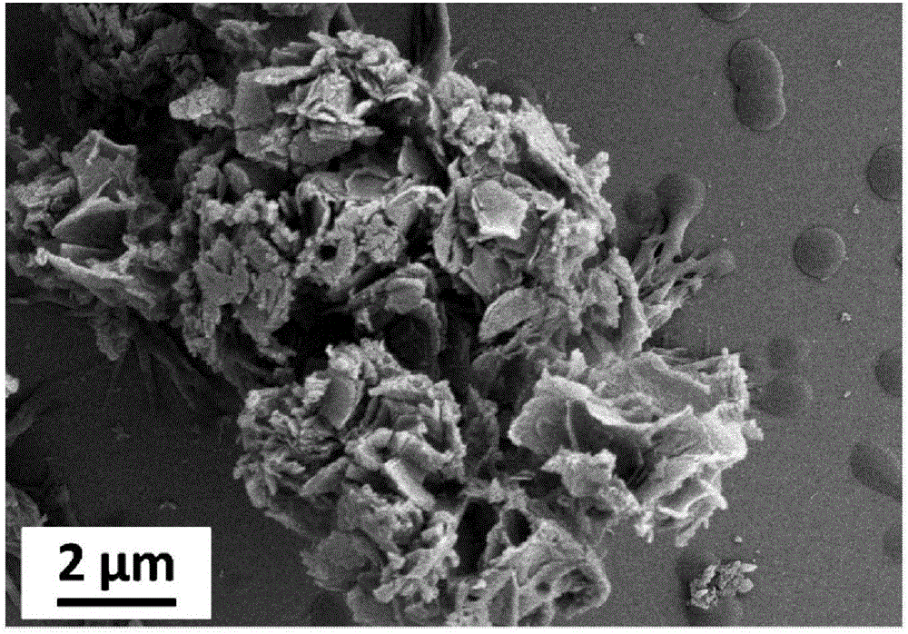 Flower-shaped porous polyaniline nanometer material and preparation method thereof