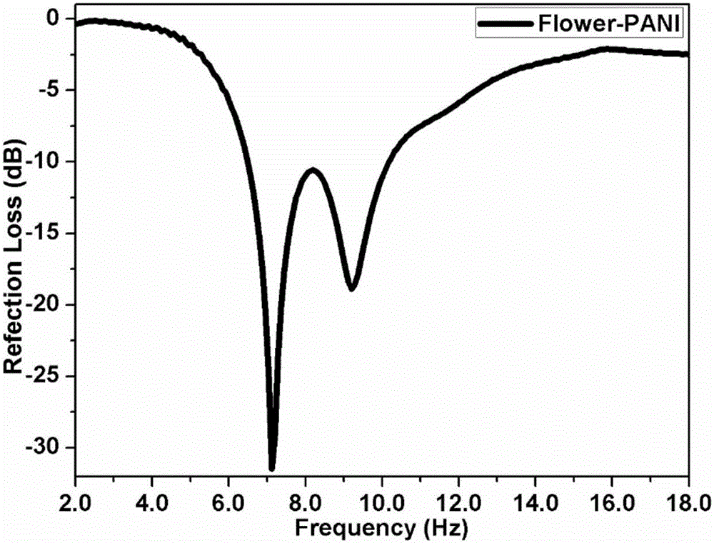 Flower-shaped porous polyaniline nanometer material and preparation method thereof