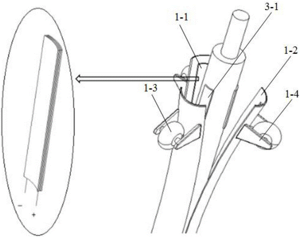 Detection device of automobile exhaust gas and detection method of exhaust gas