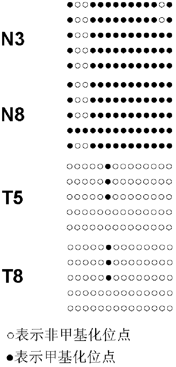 Application method of low-methylation gene LMO3 (LIM domain only 3)