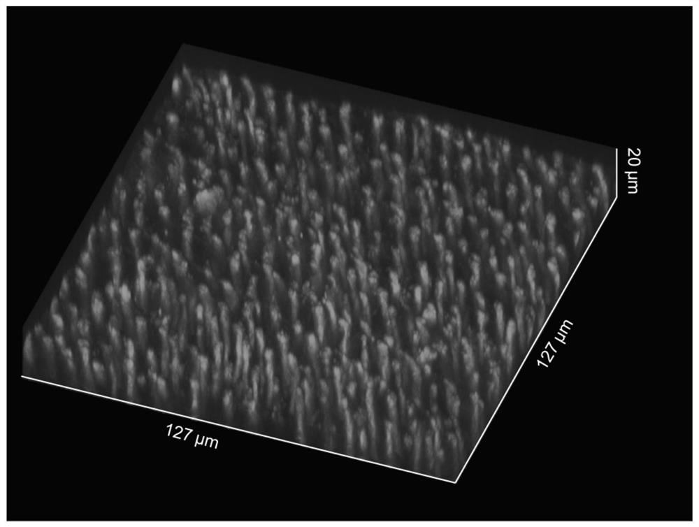 A tooth desensitizer for deep sealing of dental tubules and prevention of biofilm formation