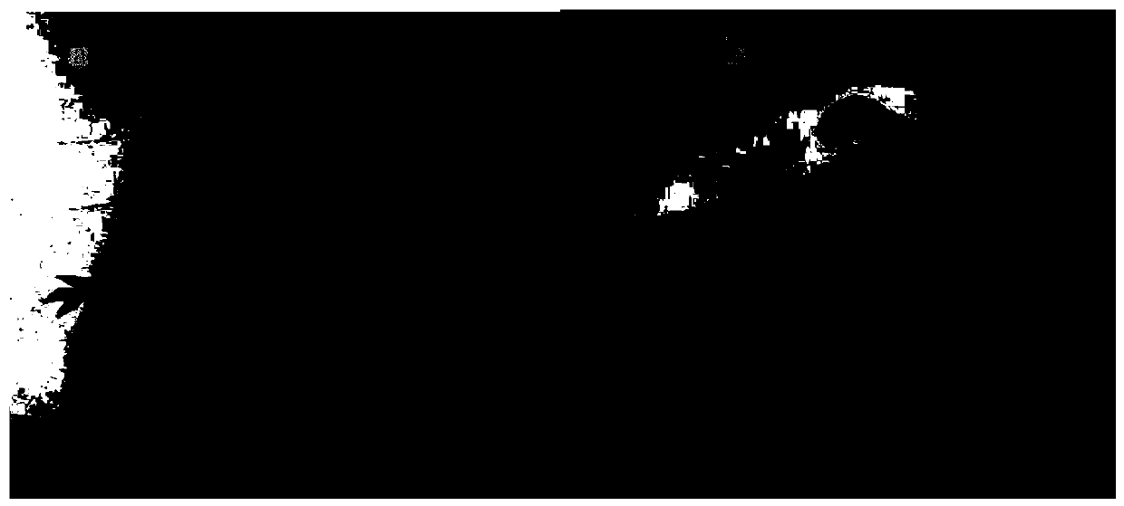 A kind of preparation method of animal depilation therapeutic agent and medicinal use thereof