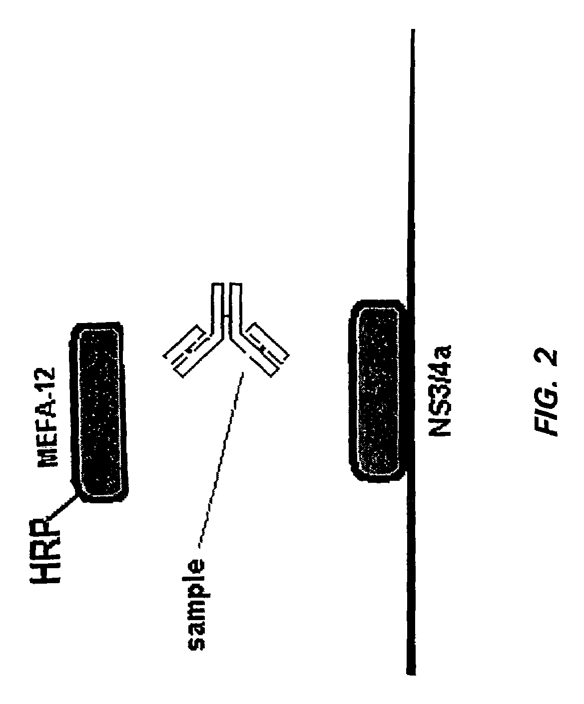 HCV assay