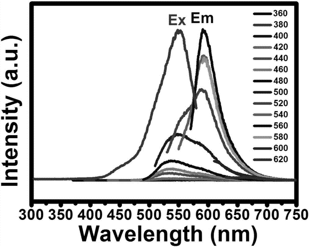 Preparation of red fluorescent carbon nanodots, and method used for detecting ferric ions and ascorbic acid