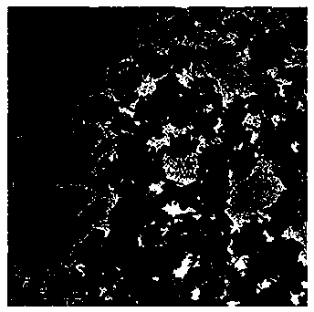 Method for preparing controllable-morphology-and-size mixed-valence tungsten-based nanoparticles