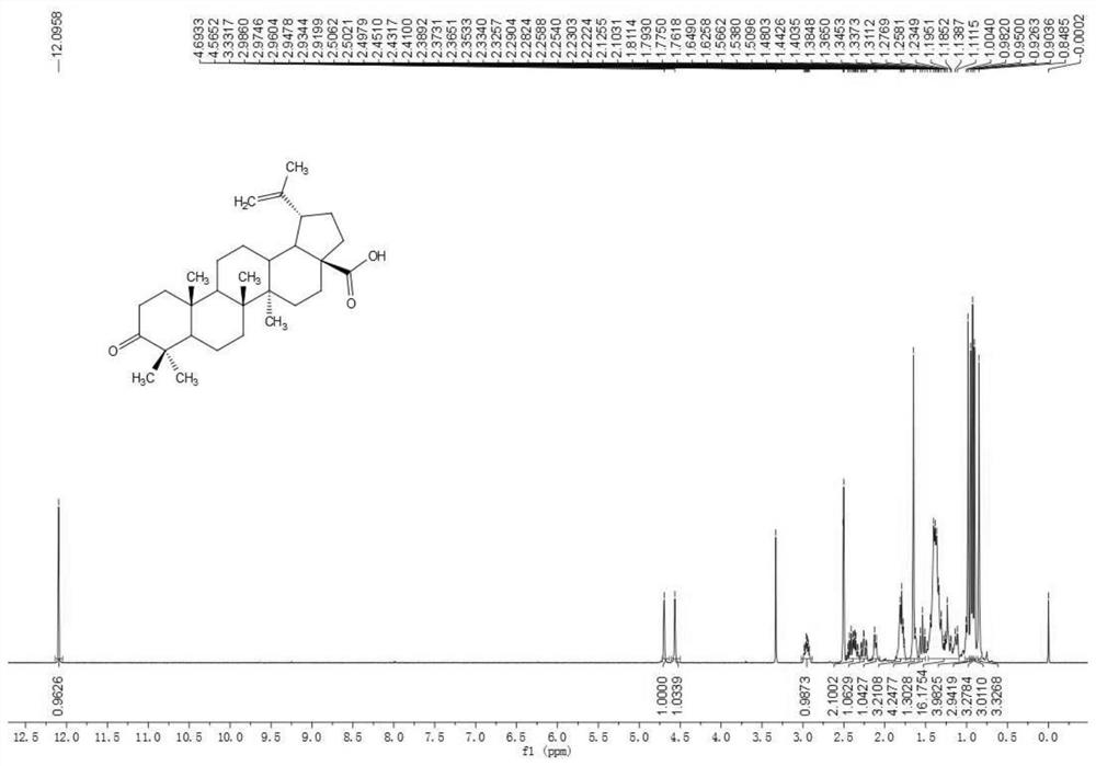 Betulinic acid derivative as well as preparation method, pharmaceutical composition and application thereof