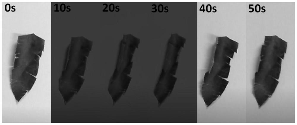 A kind of wrinkled graphene oxide/latex flexible film and its preparation and application