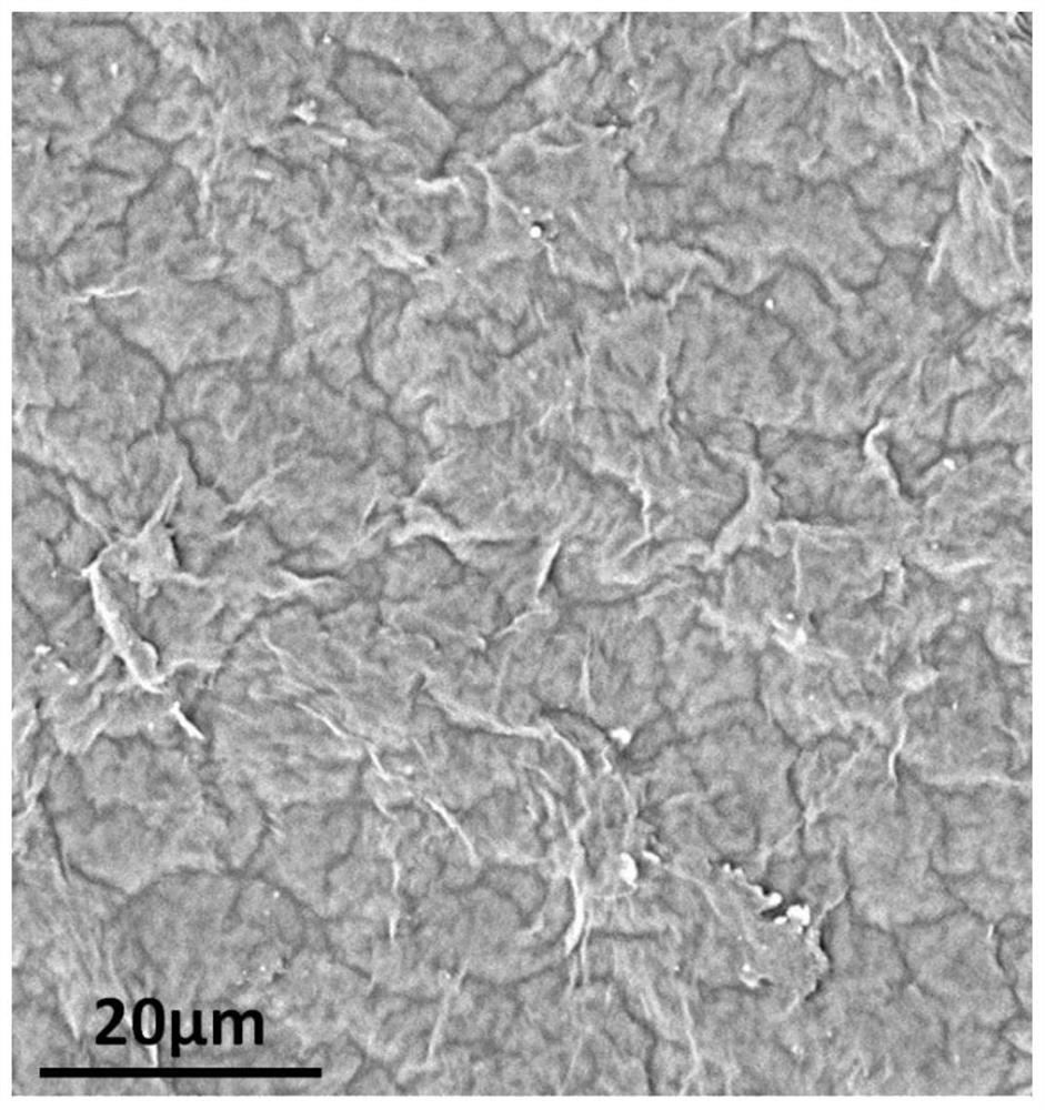 A kind of wrinkled graphene oxide/latex flexible film and its preparation and application