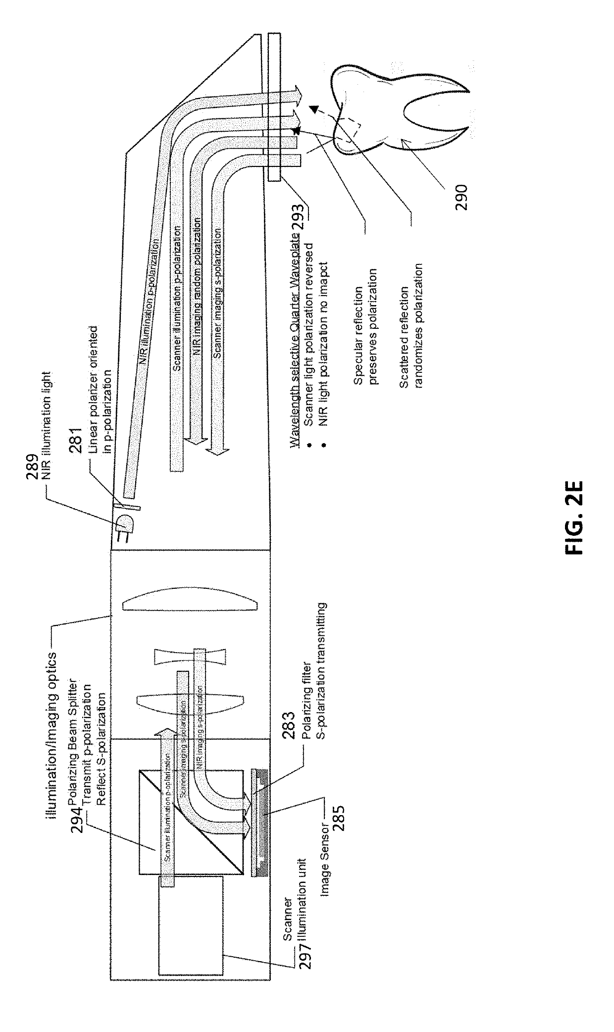 Methods and apparatuses for forming a three-dimensional volumetric model of a subject's teeth