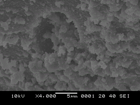 A kind of ethylene-vinyl acetate copolymer/polypyrrole composite conductive material and preparation method thereof