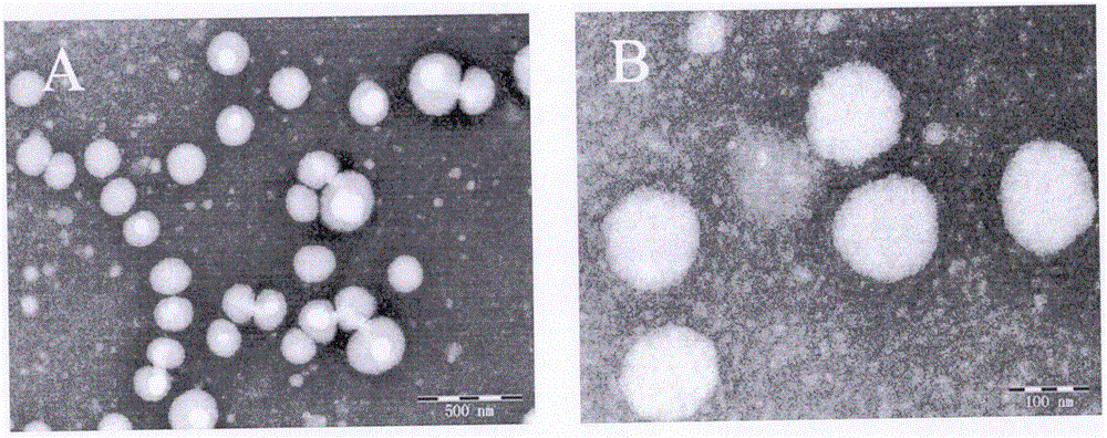 Nanosuspension of annonaceous acetogenin drugs and preparation method of nanosuspension