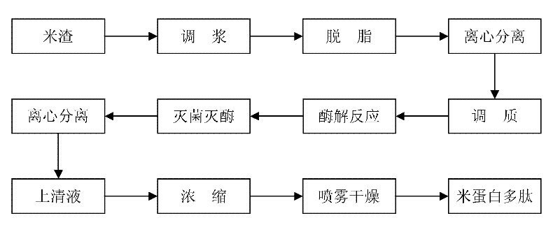 Rice protein polypeptide and preparation method thereof