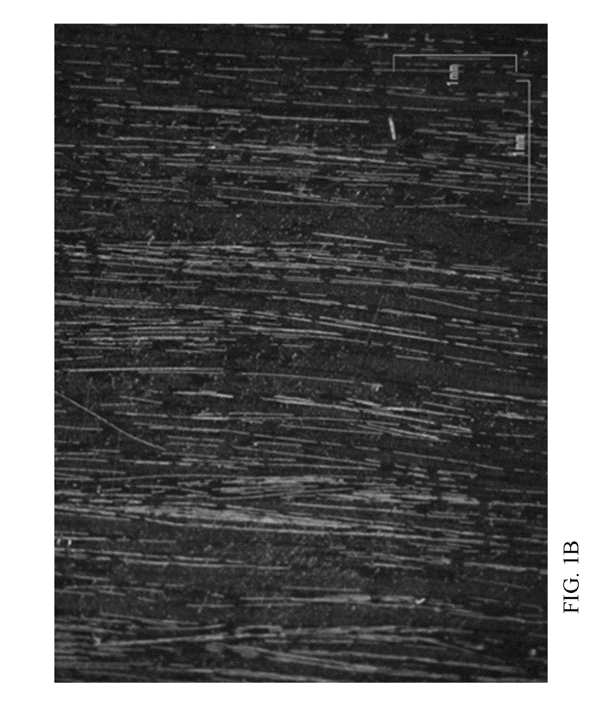 Process for selective isolation of CFRP parts by electrodeposition coatings