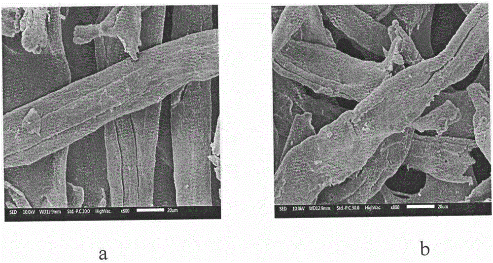 Method for removing protein in polysaccharide extraction liquid by dialdehyde cellulose