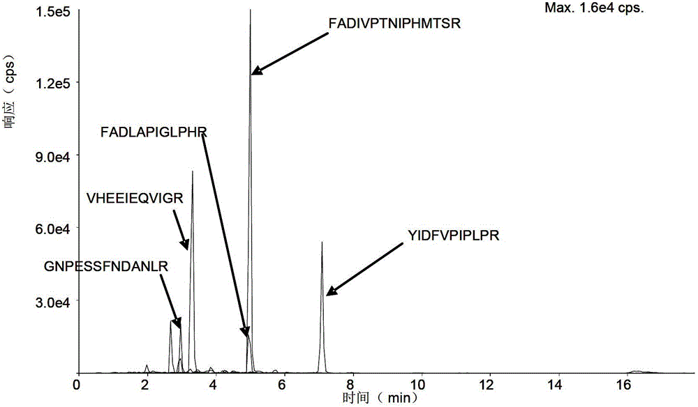 Absolute quantification method of rat CYP450 enzyme mass spectrum