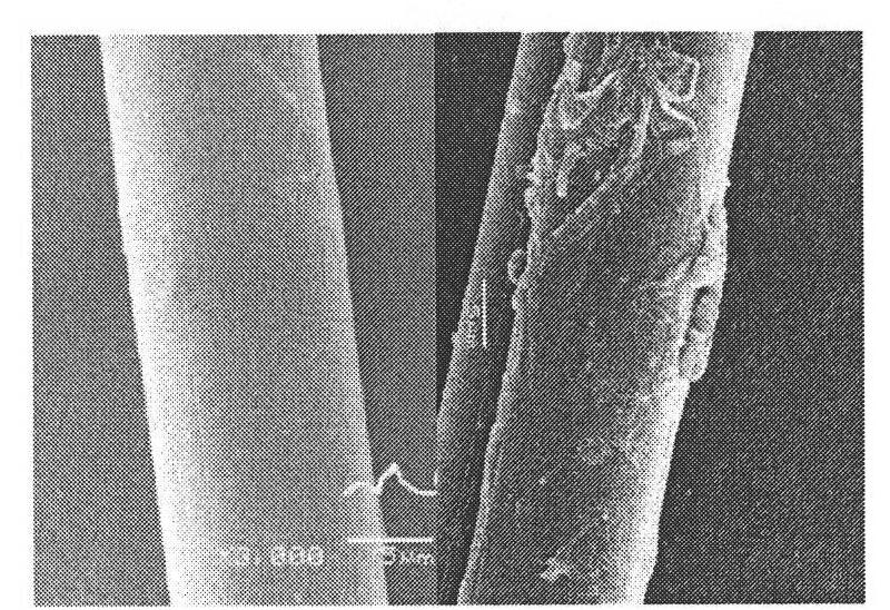 Method for modifying aramid fiber by using carbon nano tubes