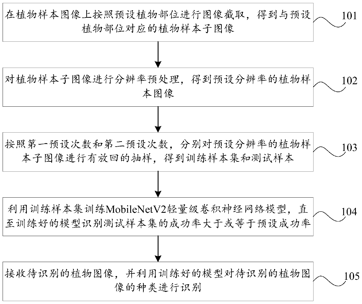 Identification method and device for plant species, storage medium and computer equipment