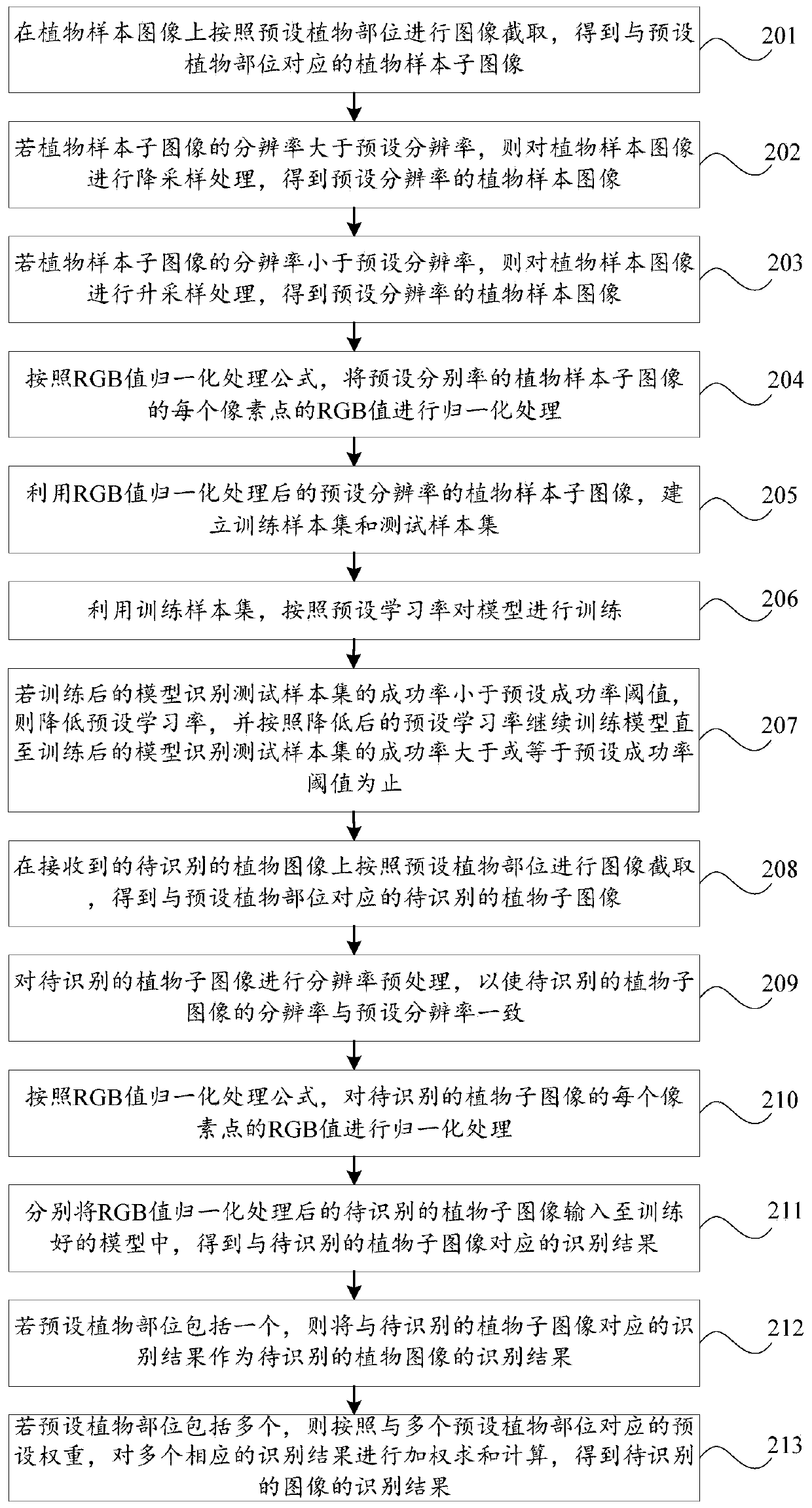 Identification method and device for plant species, storage medium and computer equipment