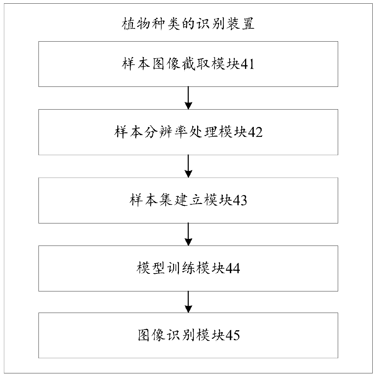 Identification method and device for plant species, storage medium and computer equipment