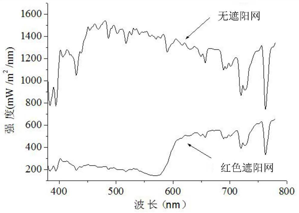 Planting method for improving content of epigallocatechin gallate in tea leaves