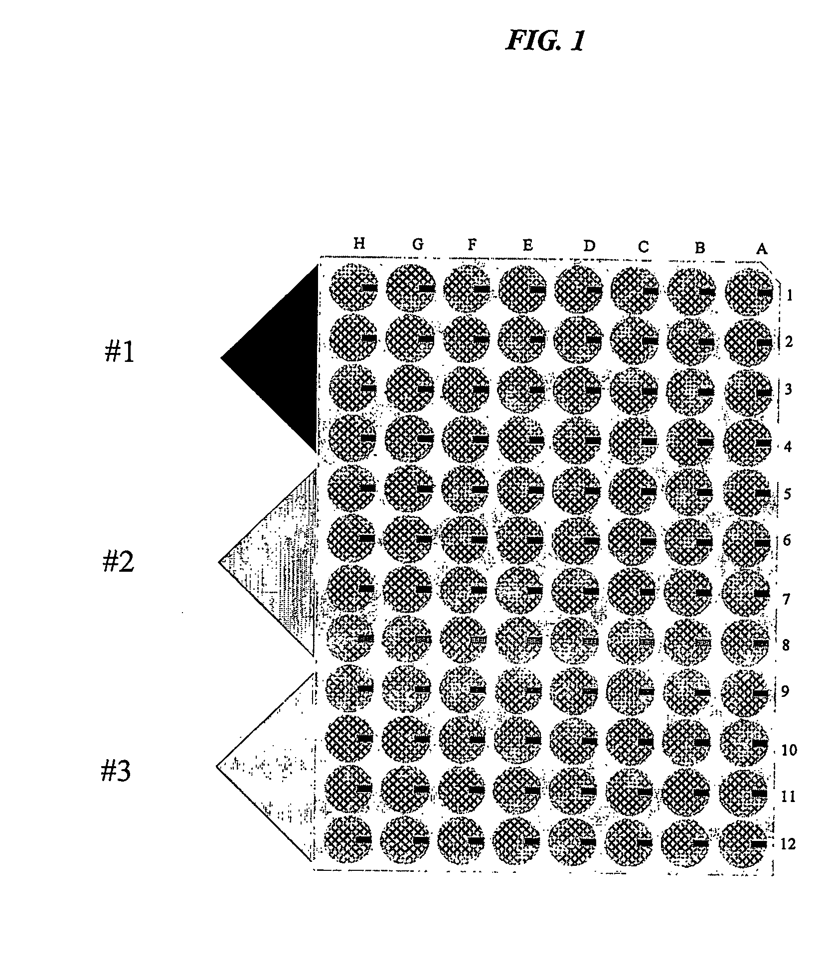 Translucent solid matrix assay device dor microarray analysis