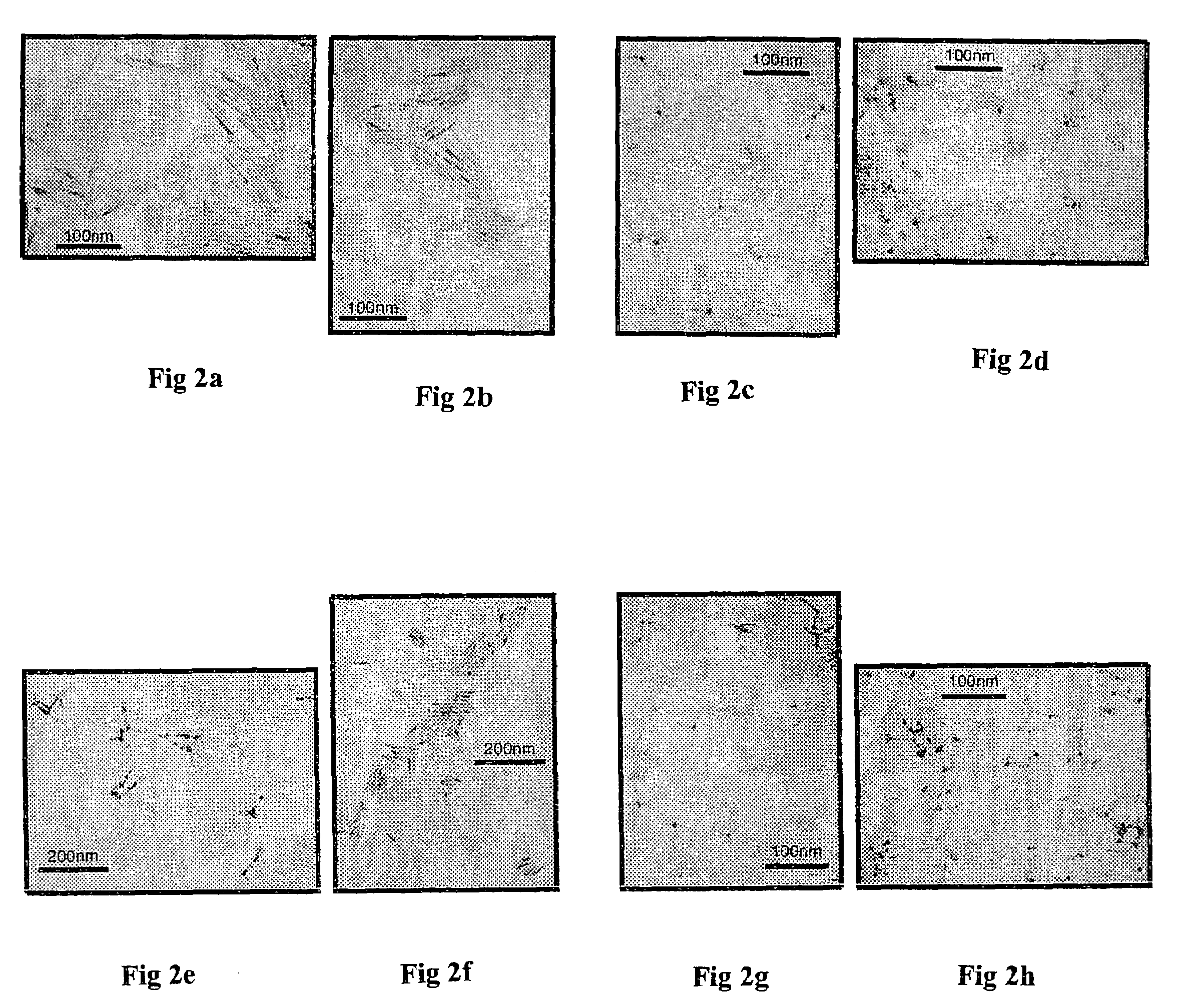 Nanocrystals with linear and branched topology