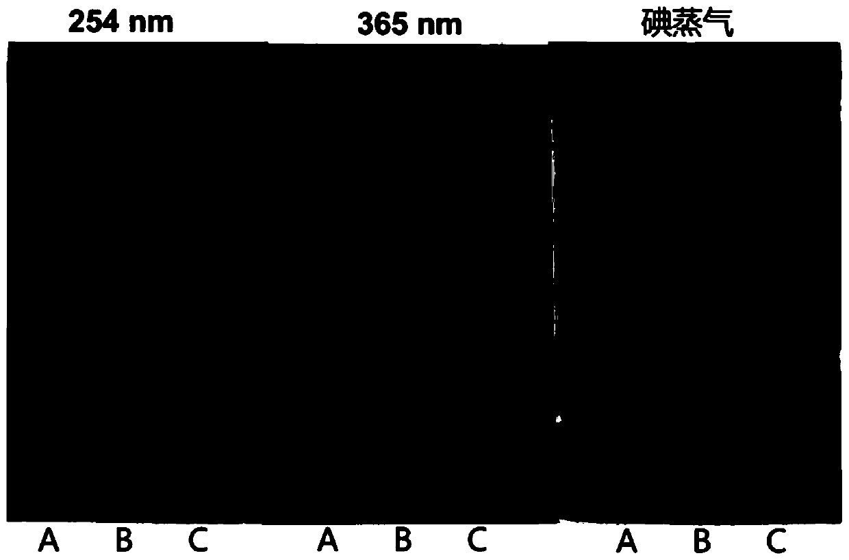 Fuzhuan tea extract containing living eurotium cristatum as well as preparation method and application of Fuzhuan tea extract