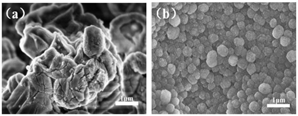 Lithium metal battery negative electrode current collector for inhibiting dendritic crystal growth and modification method thereof