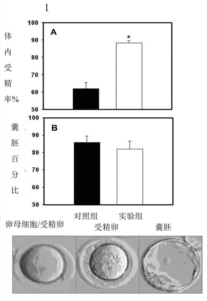 New purpose of traditional Chinese medicine compound medicine composition