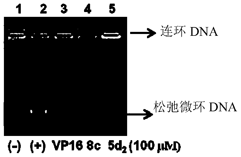 Anthracedione derivatives and their preparation methods and applications